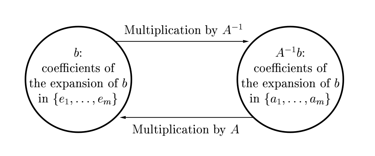 Change of Basis from Trefethen & Bau